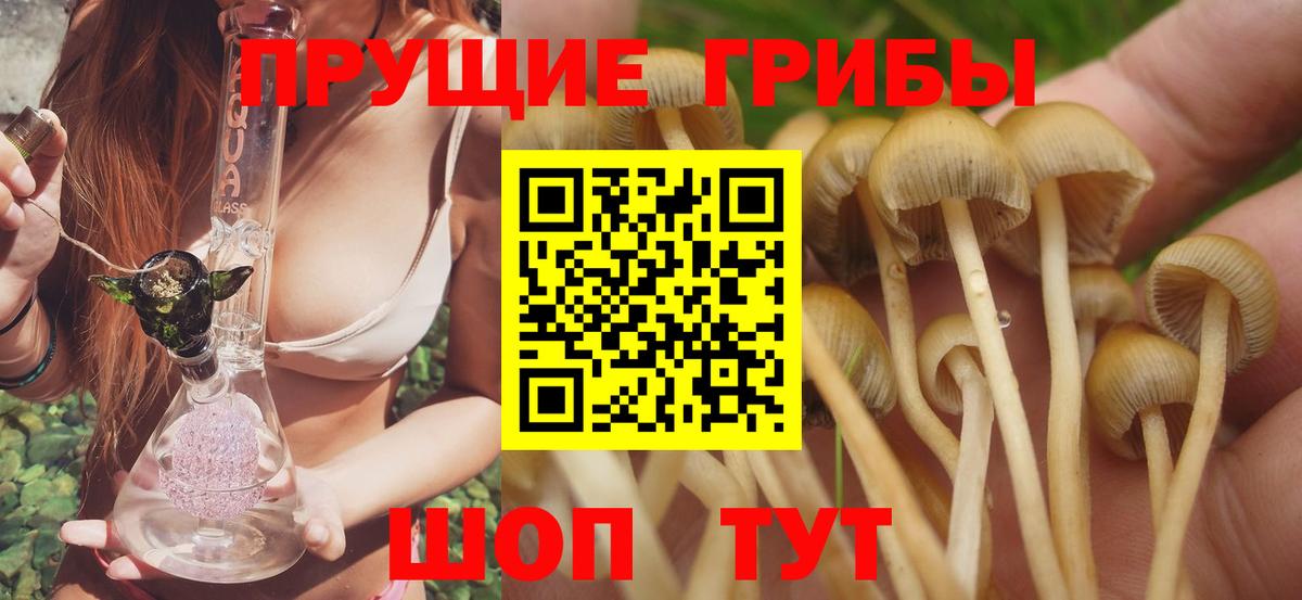 Псилоцибиновые грибы мицелий Богородицк
