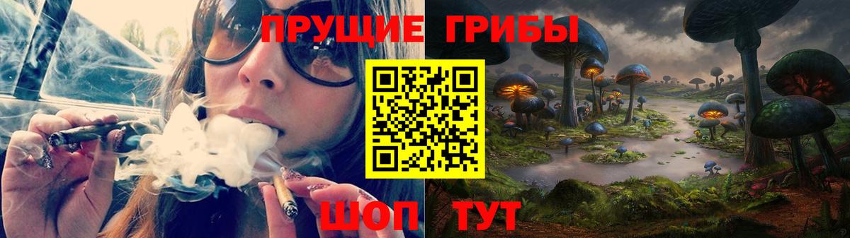 Псилоцибиновые грибы прущие грибы  Вход с VPN  Богородицк 